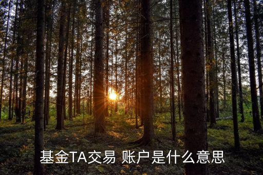  基金TA交易 賬戶是什么意思