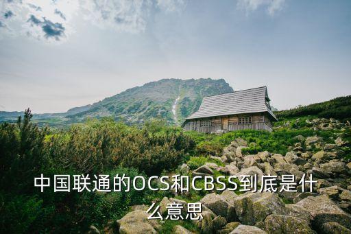 中國(guó)聯(lián)通的OCS和CBSS到底是什么意思