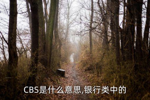 CBS是什么意思,銀行類(lèi)中的