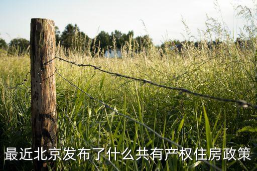 最近北京發(fā)布了什么共有產權住房政策