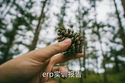 erp實(shí)訓(xùn)報(bào)告