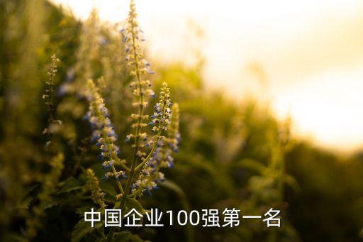 中國(guó)企業(yè)100強(qiáng)第一名