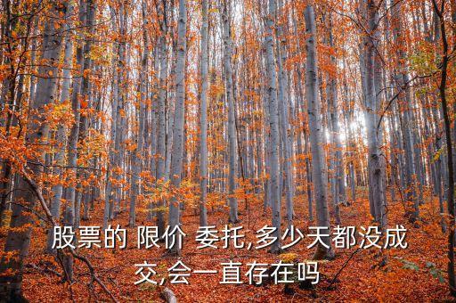 股票限價(jià)委托有效時(shí)間,股票晚上委托交易有效時(shí)間