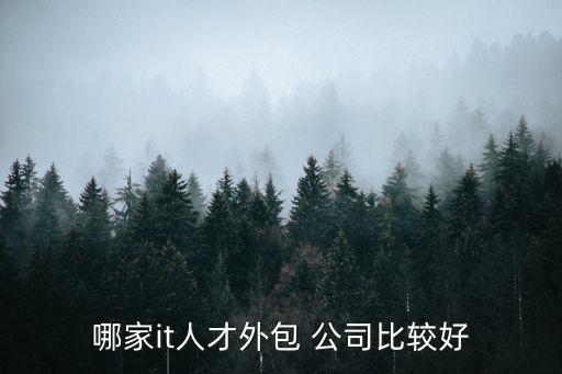 哪家it人才外包 公司比較好