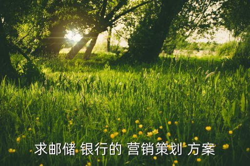 求郵儲(chǔ) 銀行的 營(yíng)銷策劃 方案