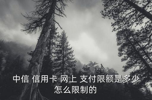 中信銀行信用卡網(wǎng)上支付算刷卡嗎,郵政信用卡網(wǎng)上支付算刷卡嗎