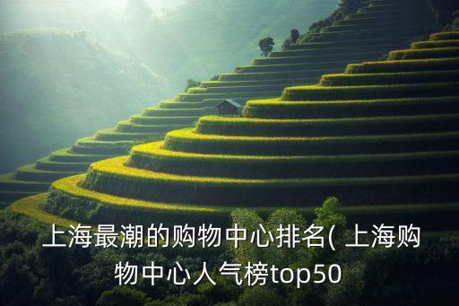  上海最潮的購物中心排名( 上海購物中心人氣榜top50