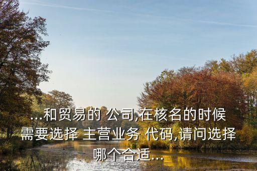 ...和貿易的 公司,在核名的時候需要選擇 主營業(yè)務 代碼,請問選擇哪個合適...