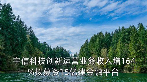  宇信科技創(chuàng)新運(yùn)營(yíng)業(yè)務(wù)收入增164%擬募資15億建金融平臺(tái)