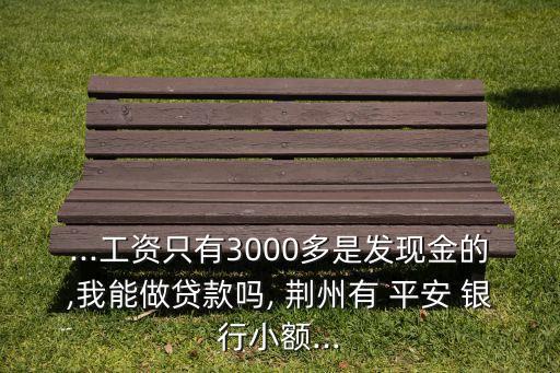 ...工資只有3000多是發(fā)現(xiàn)金的,我能做貸款嗎, 荊州有 平安 銀行小額...