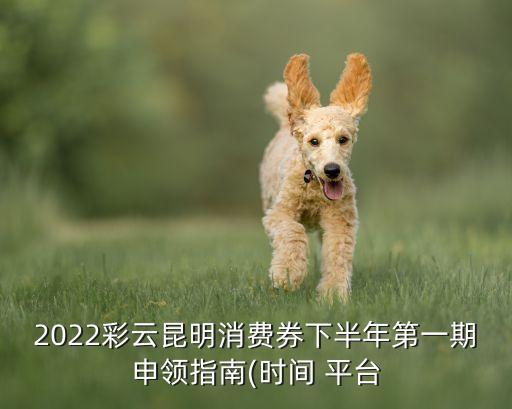 2022彩云昆明消費券下半年第一期申領(lǐng)指南(時間 平臺