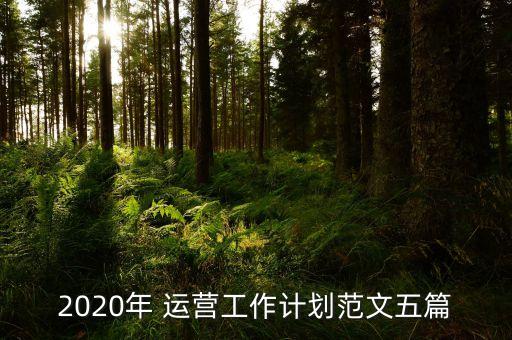 2020年 運(yùn)營工作計劃范文五篇