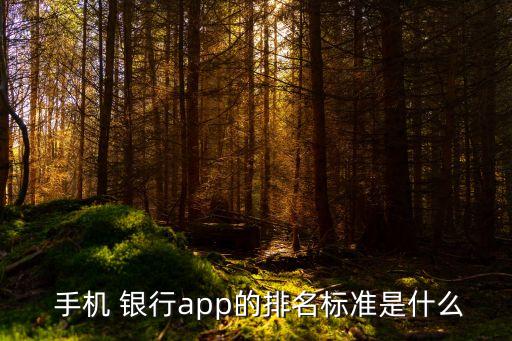  手機 銀行app的排名標(biāo)準(zhǔn)是什么