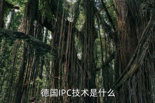 請(qǐng)問誰知道德國(guó)ipc金融公司