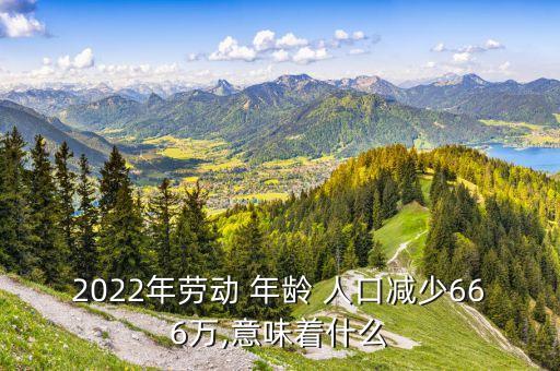 2022年勞動(dòng) 年齡 人口減少666萬(wàn),意味著什么