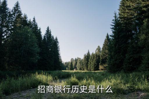  招商銀行歷史是什么