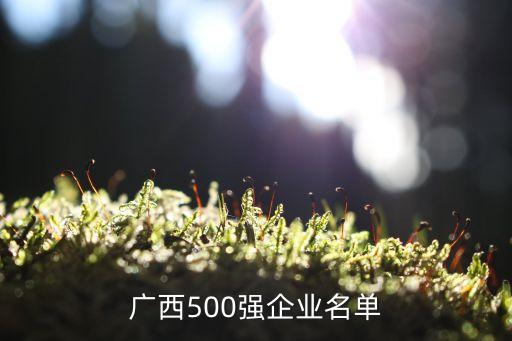 廣西500強企業(yè)名單