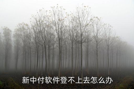  新中付軟件登不上去怎么辦