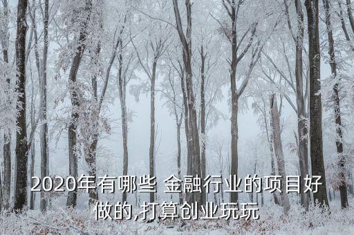 2020年有哪些 金融行業(yè)的項(xiàng)目好做的,打算創(chuàng)業(yè)玩玩