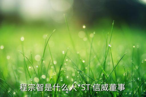 程宗智是什么人*ST 信威董事