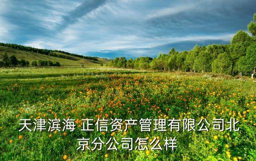  天津?yàn)I海 正信資產(chǎn)管理有限公司北京分公司怎么樣