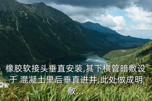 橡膠軟接頭垂直安裝,其下橫管暗敷設于 混凝土里后垂直進井,此處做成明敷...