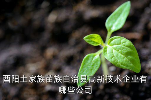 酉陽土家族苗族自治縣高新技術(shù)企業(yè)有哪些公司