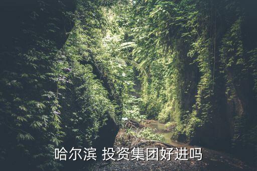 哈爾濱 投資集團好進嗎