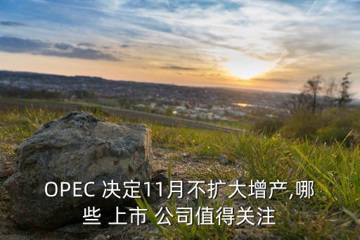 OPEC 決定11月不擴大增產(chǎn),哪些 上市 公司值得關(guān)注