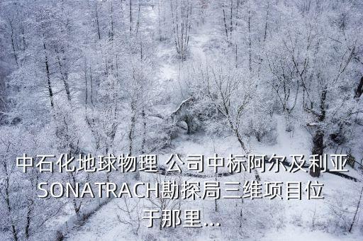 sonatrach公司,Sonatrach集團