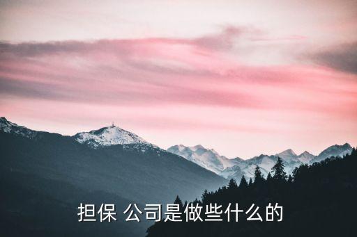  擔(dān)保 公司是做些什么的