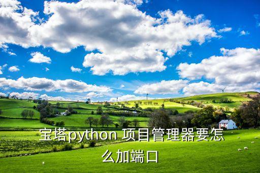  寶塔python 項目管理器要怎么加端口