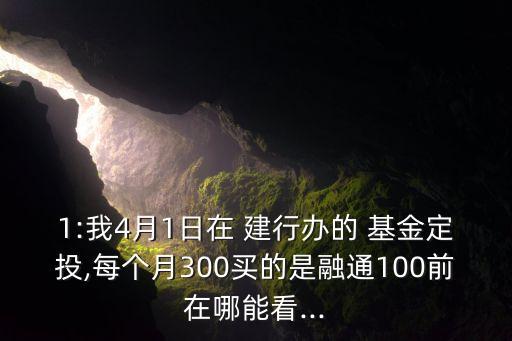 1:我4月1日在 建行辦的 基金定投,每個月300買的是融通100前在哪能看...