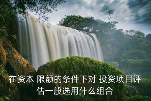 在資本 限額的條件下對 投資項(xiàng)目評(píng)估一般選用什么組合