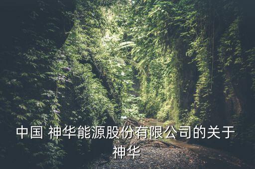 中國 神華能源股份有限公司的關(guān)于 神華