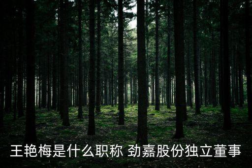 王艷梅是什么職稱 勁嘉股份獨(dú)立董事