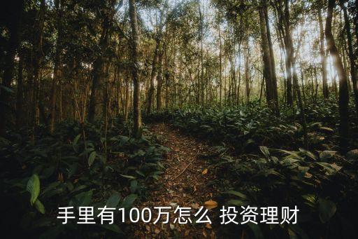 手里有100萬怎么 投資理財