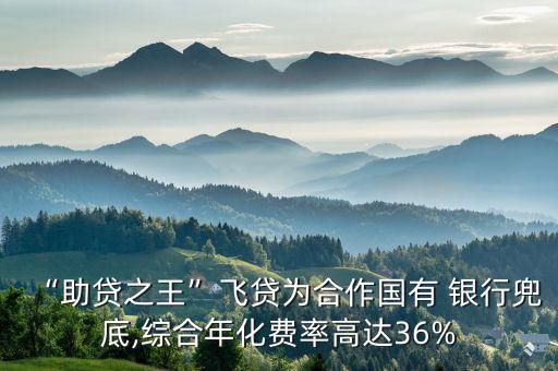 “助貸之王”飛貸為合作國有 銀行兜底,綜合年化費率高達36%