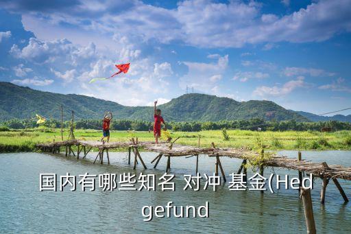 國內(nèi)有哪些知名 對沖 基金(Hedgefund