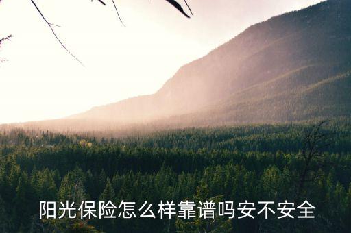 陽光人壽保險(xiǎn)的公司宣傳視頻