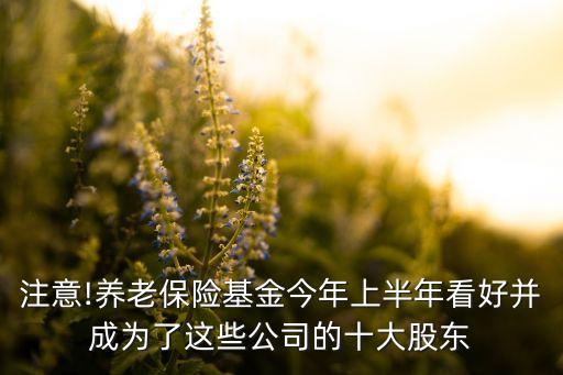 注意!養(yǎng)老保險(xiǎn)基金今年上半年看好并成為了這些公司的十大股東