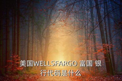 美國(guó)WELLSFARGO 富國(guó) 銀行代碼是什么