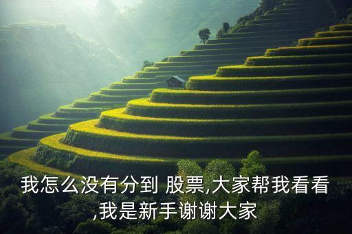 我怎么沒(méi)有分到 股票,大家?guī)臀铱纯?我是新手謝謝大家