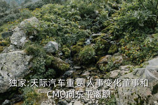 獨(dú)家:天際汽車重要 人事變化董事和CMO向東平離職