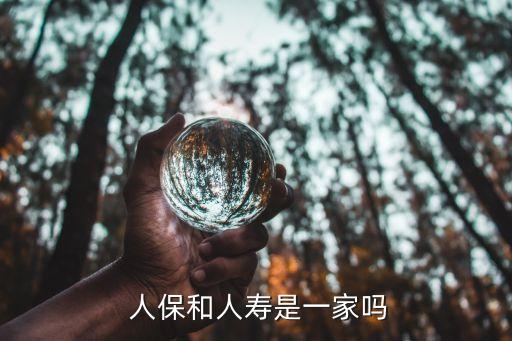 中國人保集團(tuán)股份有限公司