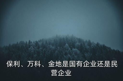  保利、萬(wàn)科、金地是國(guó)有企業(yè)還是民營(yíng)企業(yè)