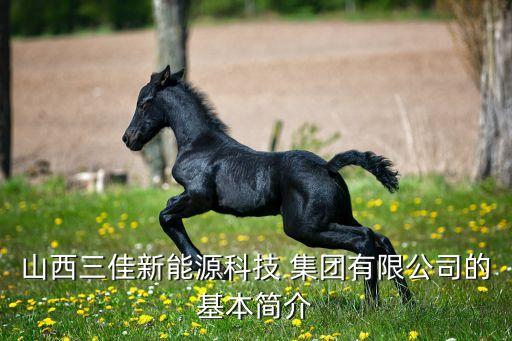 山西三佳新能源科技 集團(tuán)有限公司的基本簡(jiǎn)介