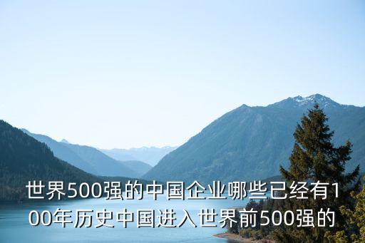 世界500強的中國企業(yè)哪些已經(jīng)有100年歷史中國進(jìn)入世界前500強的