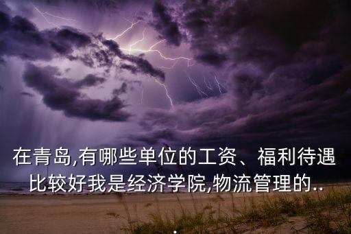 在青島,有哪些單位的工資、福利待遇比較好我是經(jīng)濟學(xué)院,物流管理的...