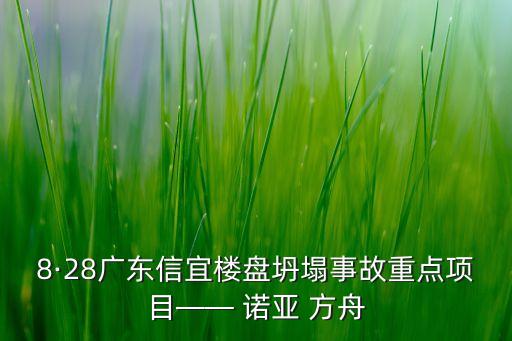 8·28廣東信宜樓盤坍塌事故重點項目—— 諾亞 方舟